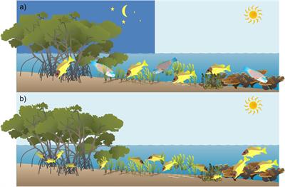 Fishers’ Local Ecological Knowledge (<mark class="highlighted">LEK</mark>) on Connectivity and Seascape Management